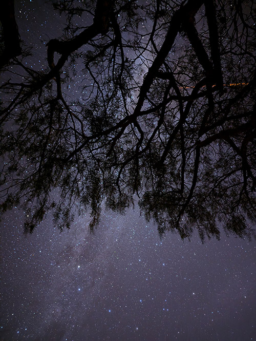 Photo de la voie lactée à travers les arbres de la résidentia le 9 août2024 - Optrolight