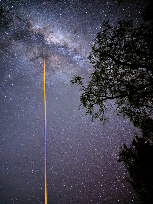 Photo de la voie lactée à travers les arbres de la résidentia le 9 août2024 - Optrolight